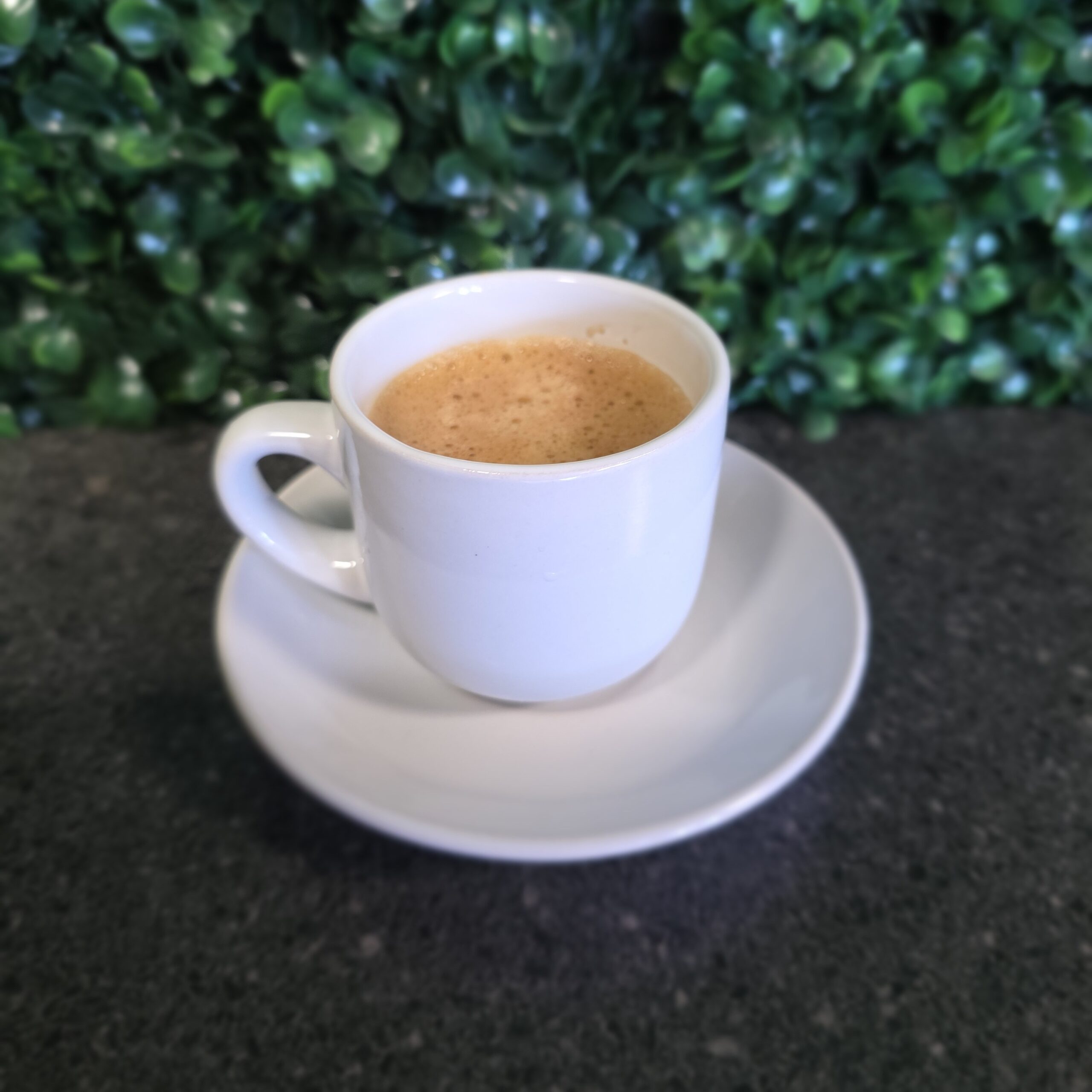 Cuba Bistro Fall is for Foodies 2025