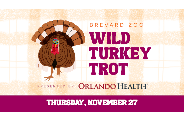 Wild Turkey Trot 3k