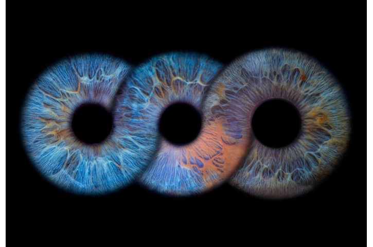 Eyedeal Photography 3