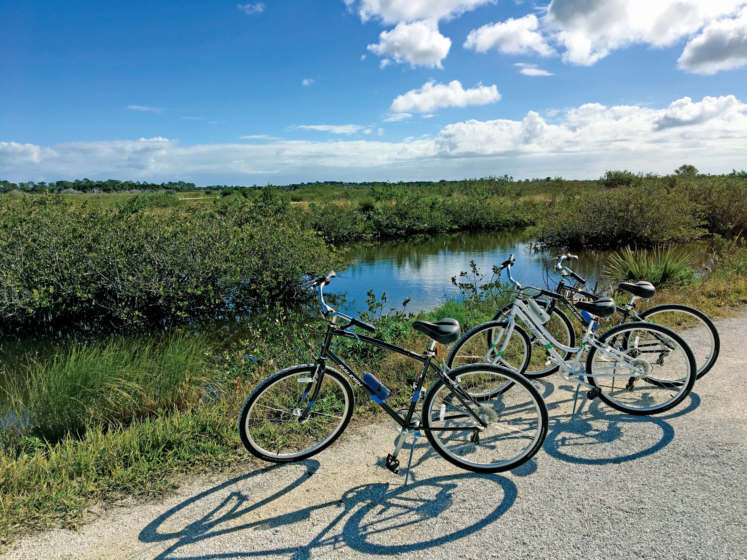 Titusville Trails