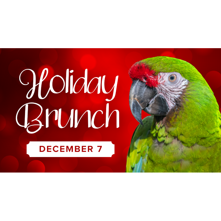 Holiday-Brunch Flyer