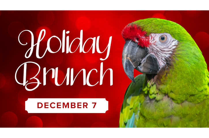 Holiday-Brunch Flyer