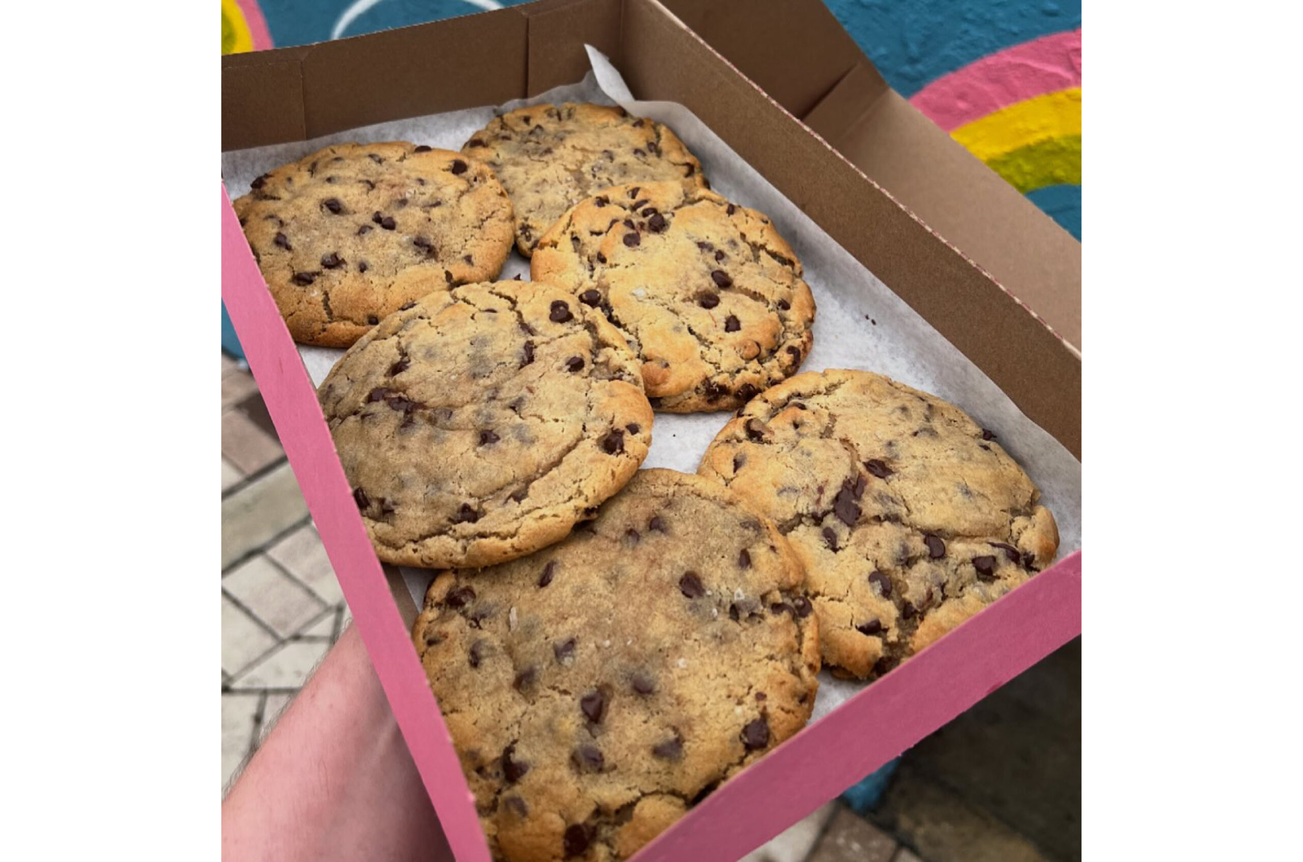 Junk food bakery fall is for foodies 2025