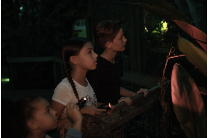 Night Hike Field Researcher