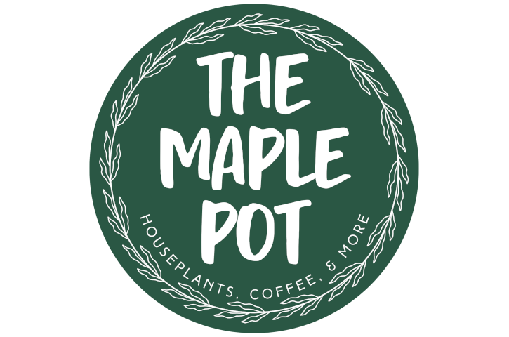 The Maple Pot 1