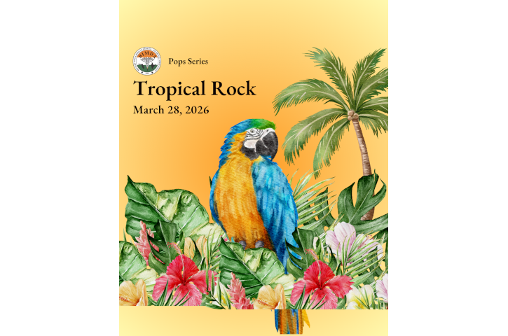 Tropical Rock - Brevard Symphony Orchestra Flyer