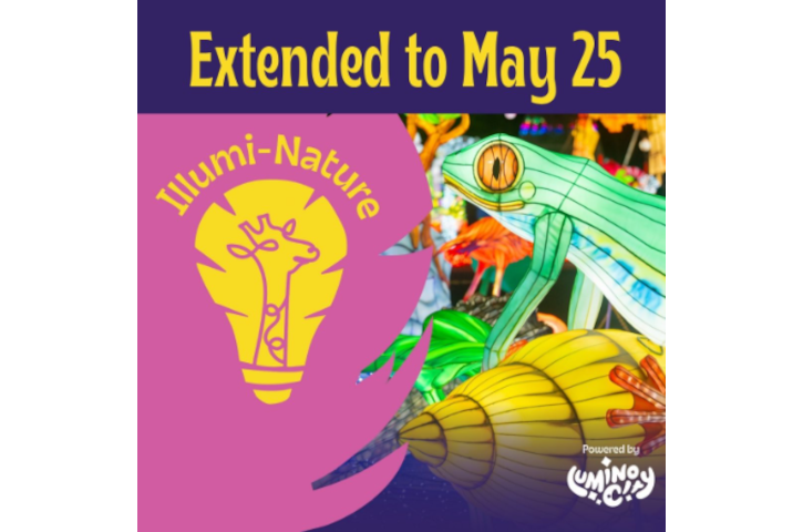 イルミネコ Illumi-Nature at Brevard Zoo - Visit Space Coast