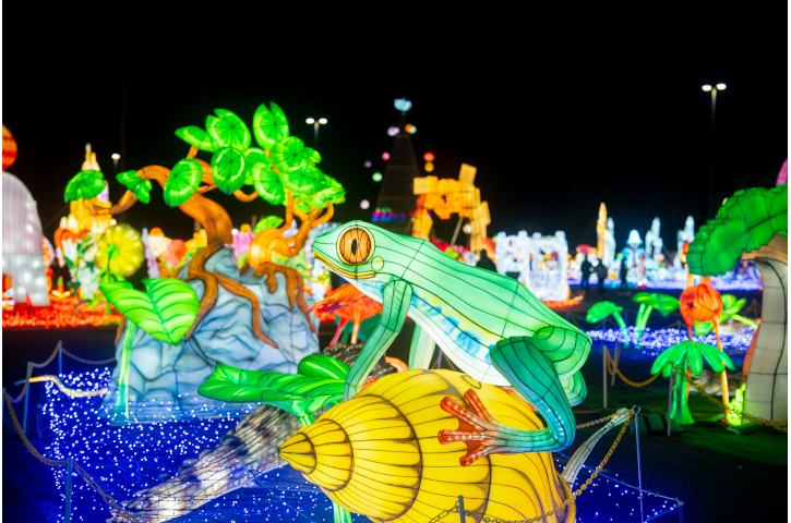 Illumi-Nature at Brevard Zoo