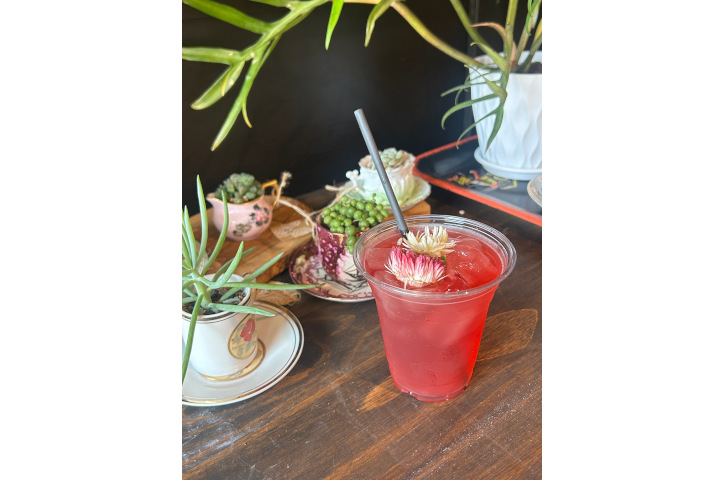 The New Amsterdam Botanical Lab 2