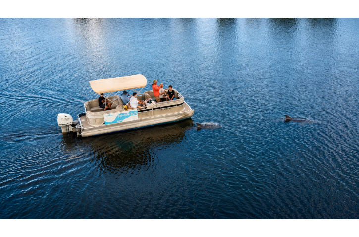 Dolphin Family Tours 2