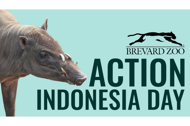 2026_BZ_ActionIndonesia_FacebookHeader_1920x1080