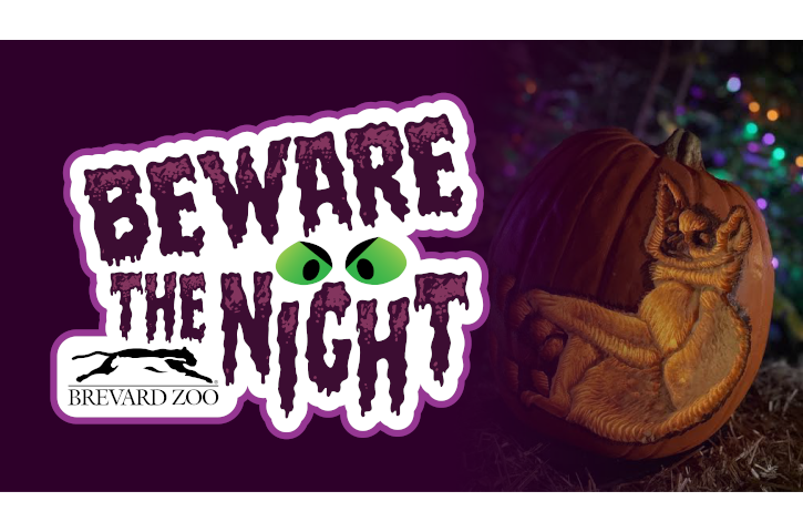 Beware the Night at Brevard Zoo Banner
