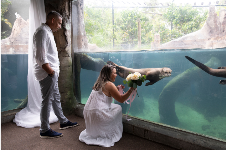 Wildly in Love Wedding Expo photo