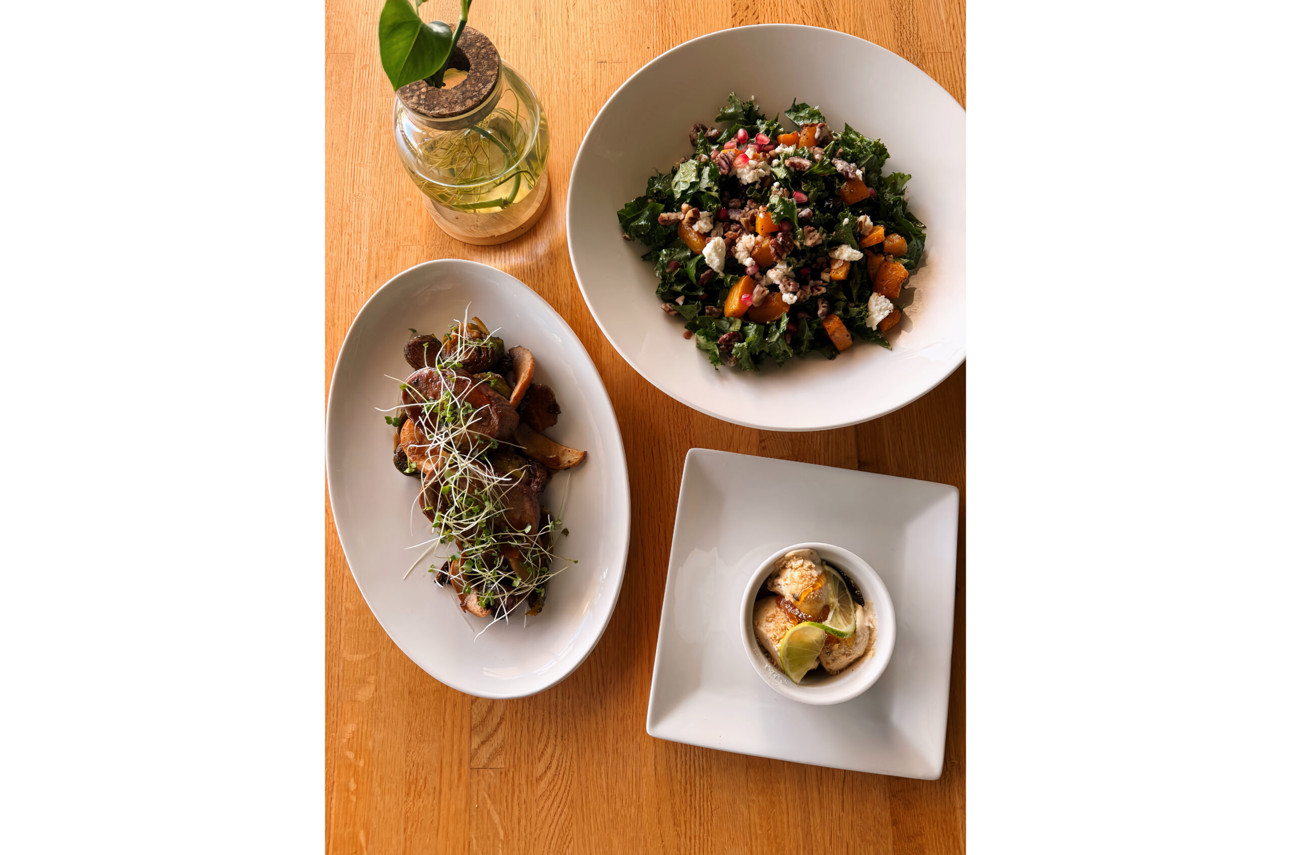 The Fat Snook Fall is for Foodies 2026