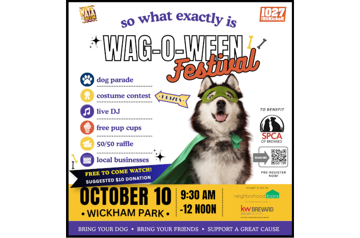 WoW26_Media_WhatIsWoW